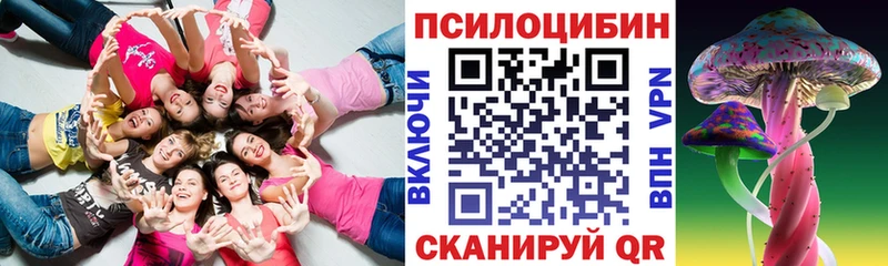 Псилоцибиновые грибы прущие грибы Купить где Данилов